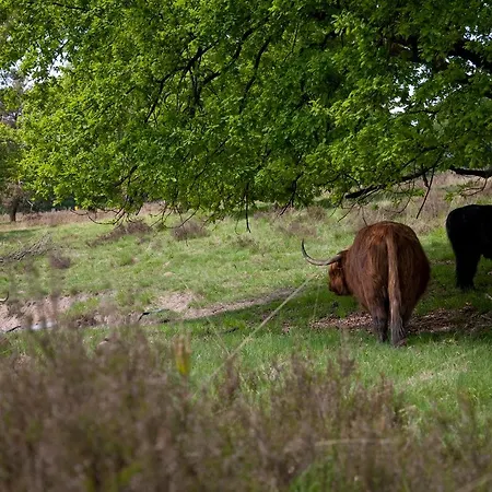 Romantik Kasteel Daelenbroeck Herkenbosch