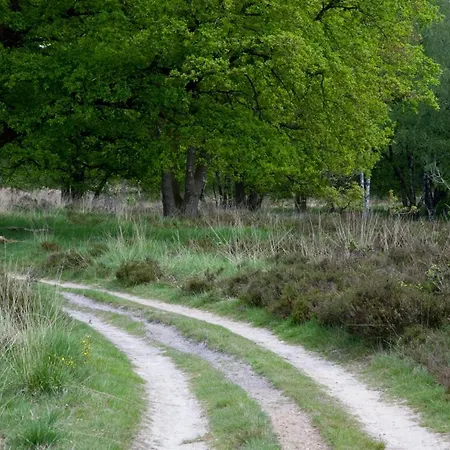 Szálloda Romantik Kasteel Daelenbroeck