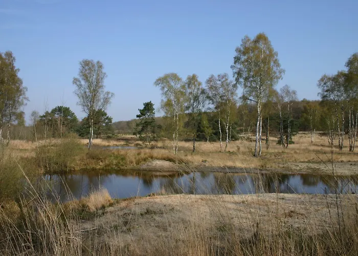 Romantik Kasteel Daelenbroeck Отель 4*
