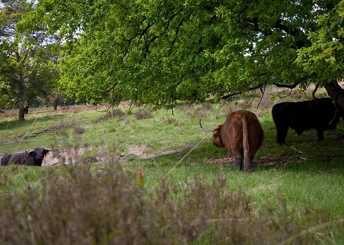 Romantik Kasteel Daelenbroeck Херкенбош
