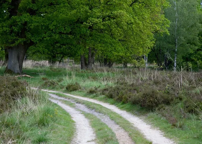 Hotel Romantik Kasteel Daelenbroeck